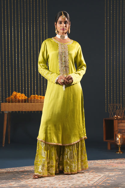 Pista Green Crepe Choga Suit Effortlessly Elegant - Jashn-E-Rang