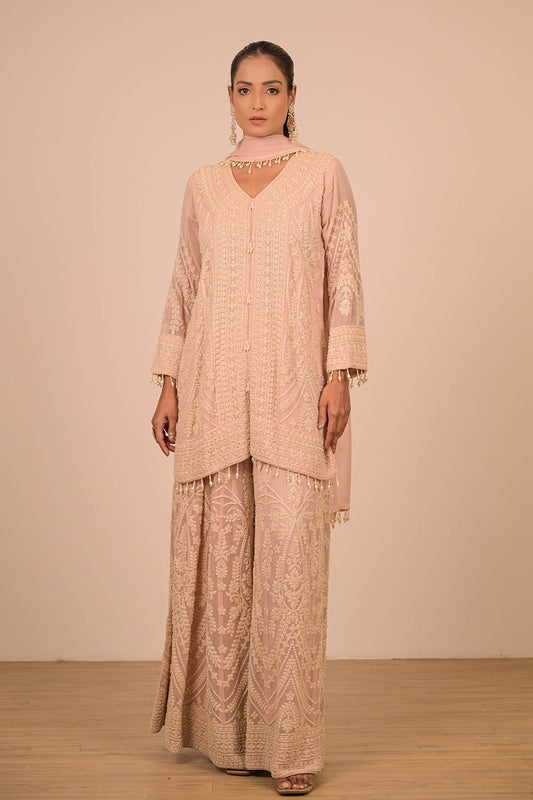 Blush Pink Georgette Sharara Set with Intricate Moti Embroidery
